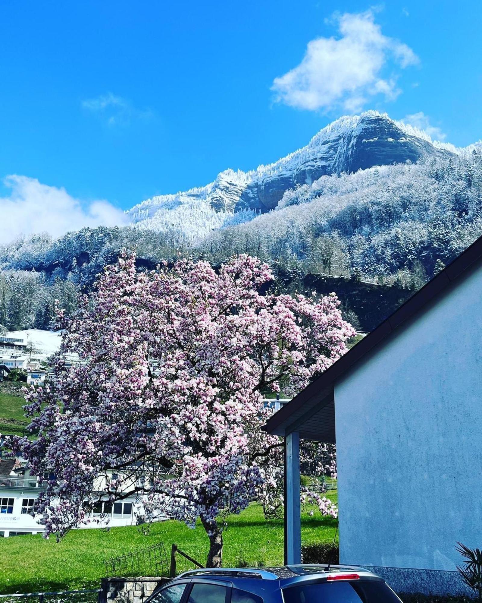Chalet Oz Vitznau Eksteriør bilde