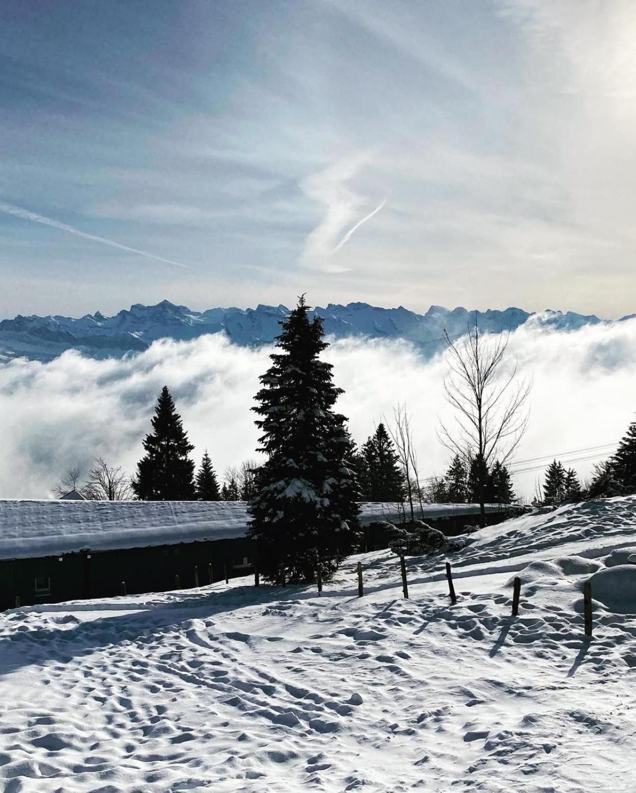 Chalet Oz Vitznau Eksteriør bilde