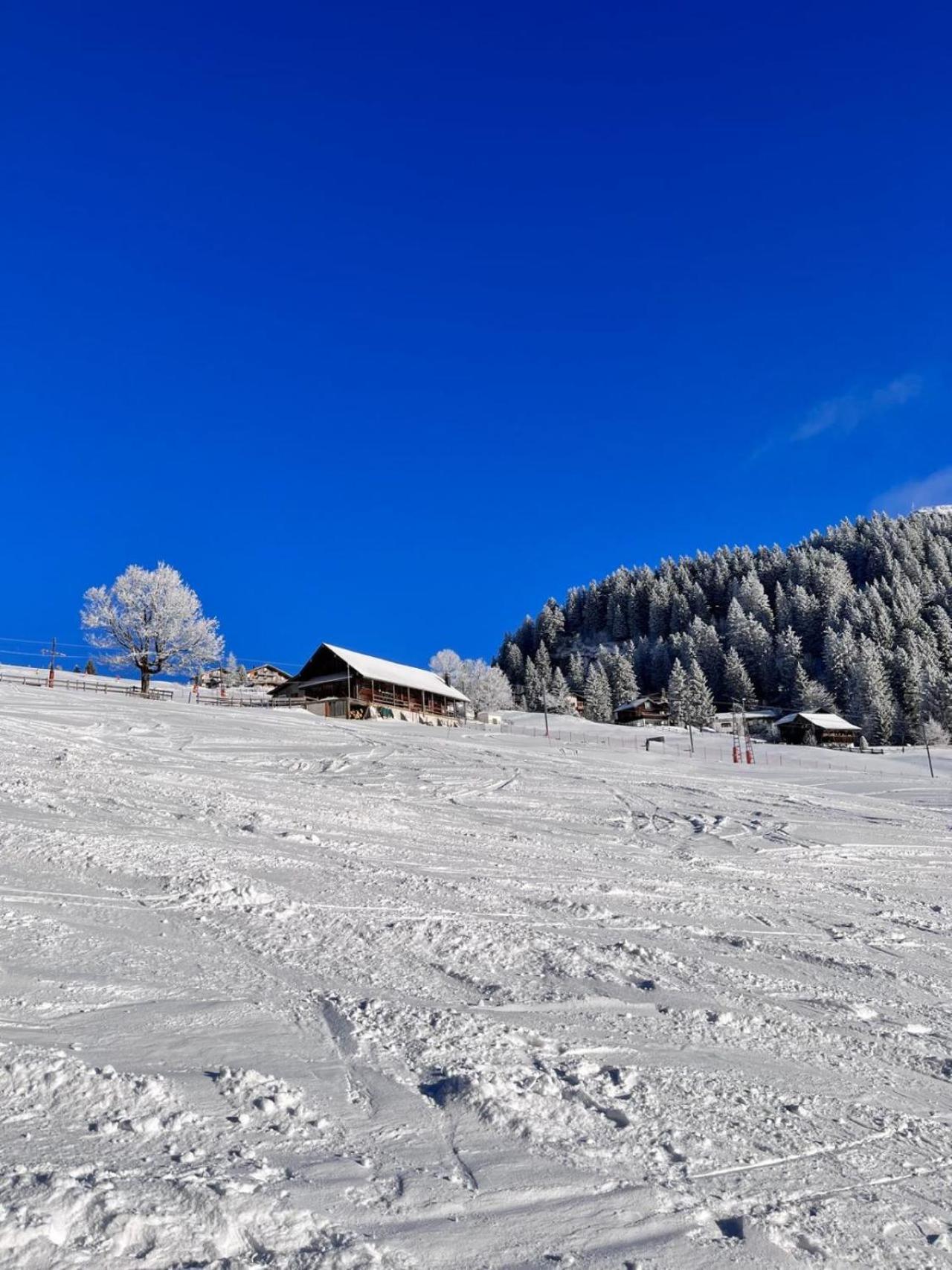 Chalet Oz Vitznau Eksteriør bilde